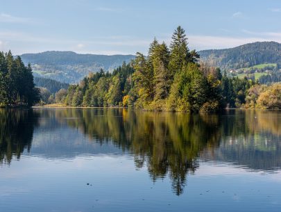 Moosburg_Mitterteich_02102017_1279