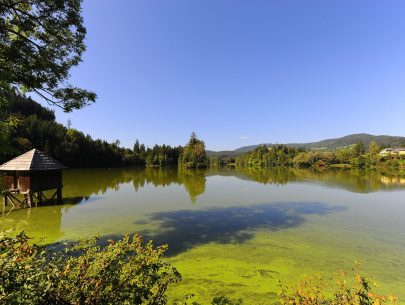 Moosburg_Mitterteich_mit_Arnulffeste_12092010_92