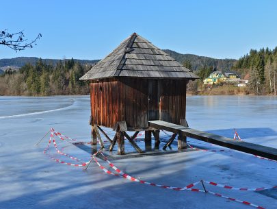 Moosburg_Mitterteich_mit_Eisdecke_26012015_171