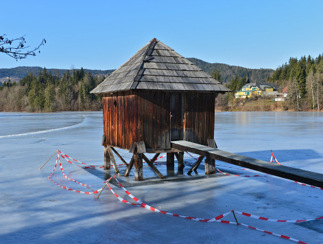 Moosburg_Mitterteich_mit_Eisdecke_26012015_171